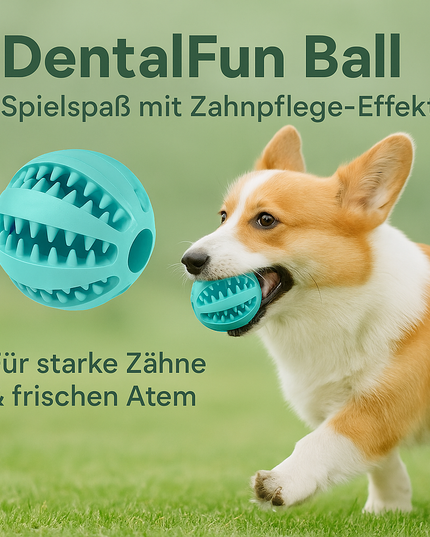 DentalFun Ball