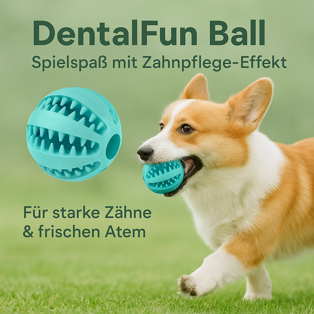 DentalFun Ball