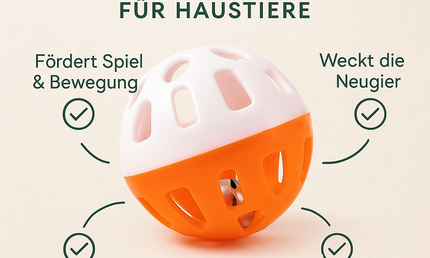 Fun-Bälle für Haustiere