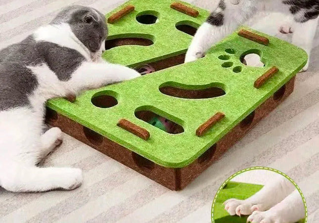 playpaws